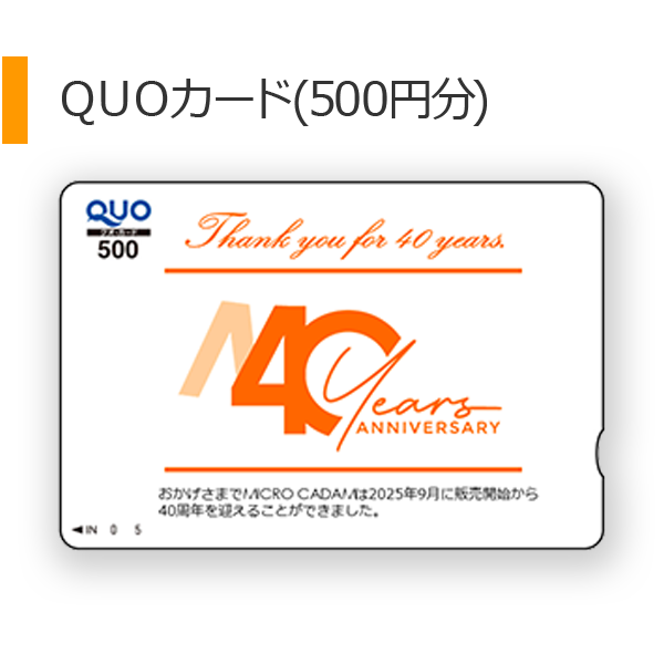 イメージ:クオ・カード ペイ500円分